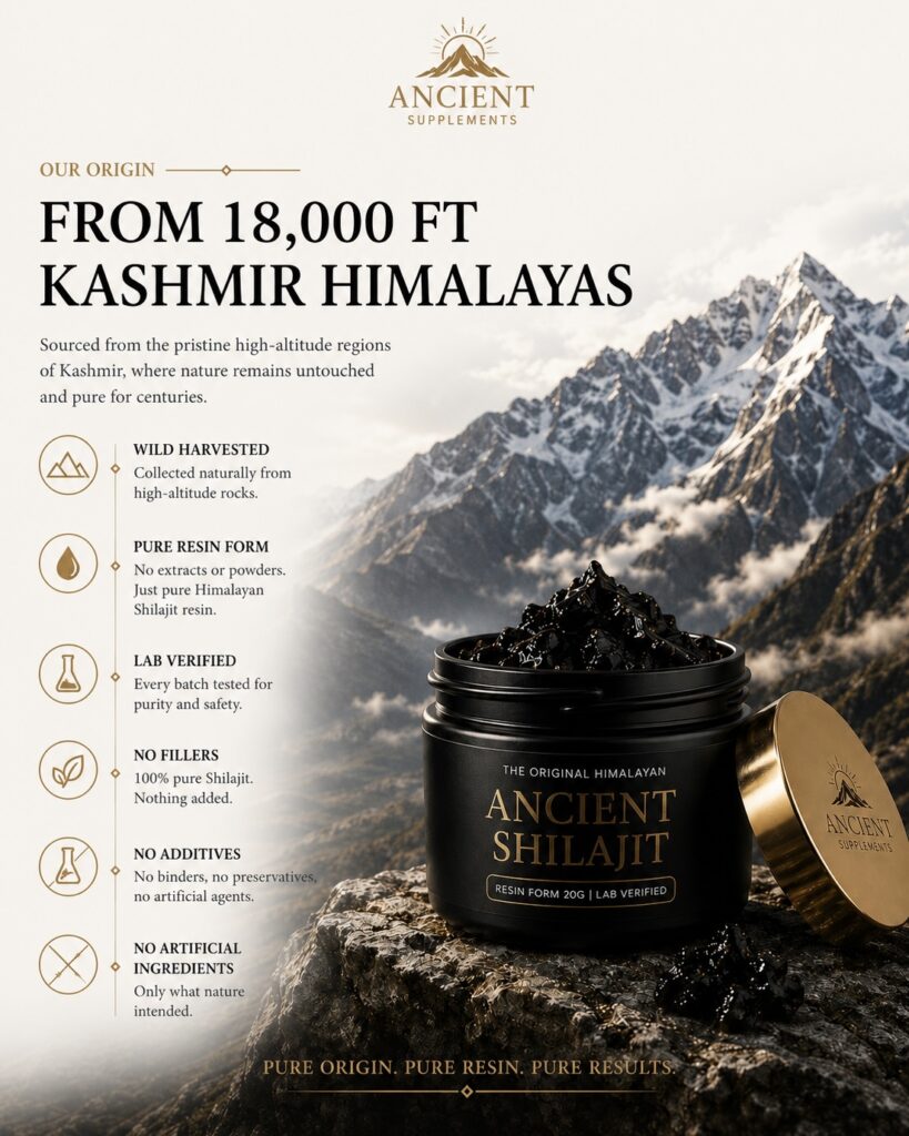 Ancient Shilajit
